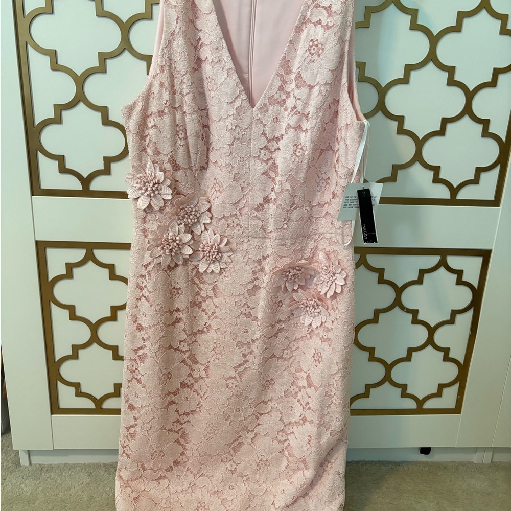 Maggy London Blush Pink Backless Lace Dress